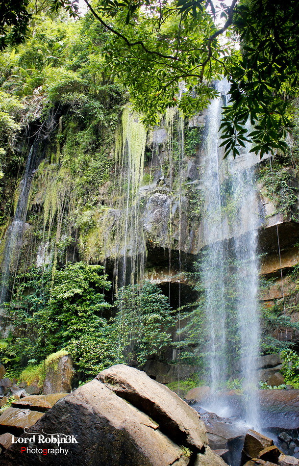 The Final Destination