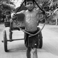 A Local Kid Transport His Siblings on Horse Cart