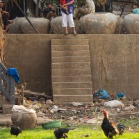 Typical Life in Chrang Chamres