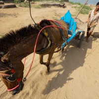 Horse Powered Sand Carriage